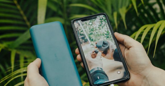 External Hard Drive - From above of crop unrecognizable person transferring information from cellphone to portable hard drive using USB connector near fern leaves